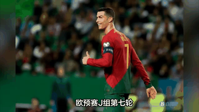 关于葡萄牙主场获胜：靠欧洲杯资格赛晋级的信息